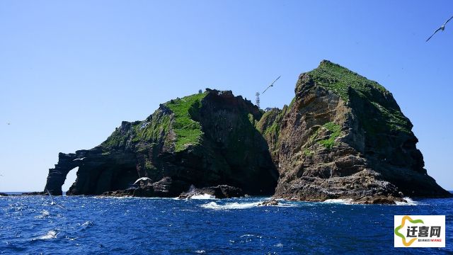 深入蓝色的绝对海域：探秘海洋生物的神秘生存战与不为人知的海底秘密