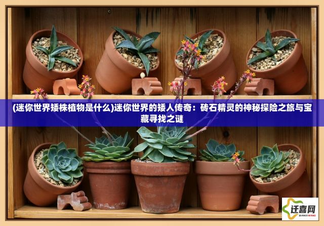 (迷你世界矮株植物是什么)迷你世界的矮人传奇：砖石精灵的神秘探险之旅与宝藏寻找之谜