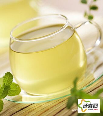 绿茶免费安装下载-绿茶科技有限公司v2.7.0手机版