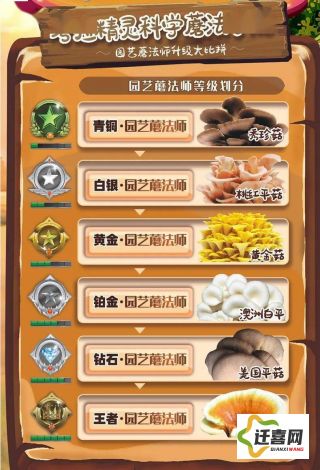 蘑菇视频下载-金蘑菇菇v7.5.7官方安卓版