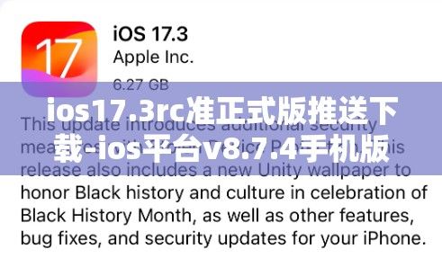 ios17.3rc准正式版推送下载-ios平台v8.7.4手机版