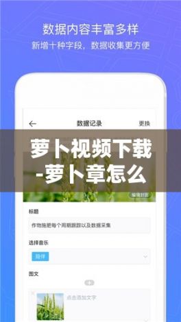 萝卜视频下载-萝卜章怎么做v6.9.8免费官方版